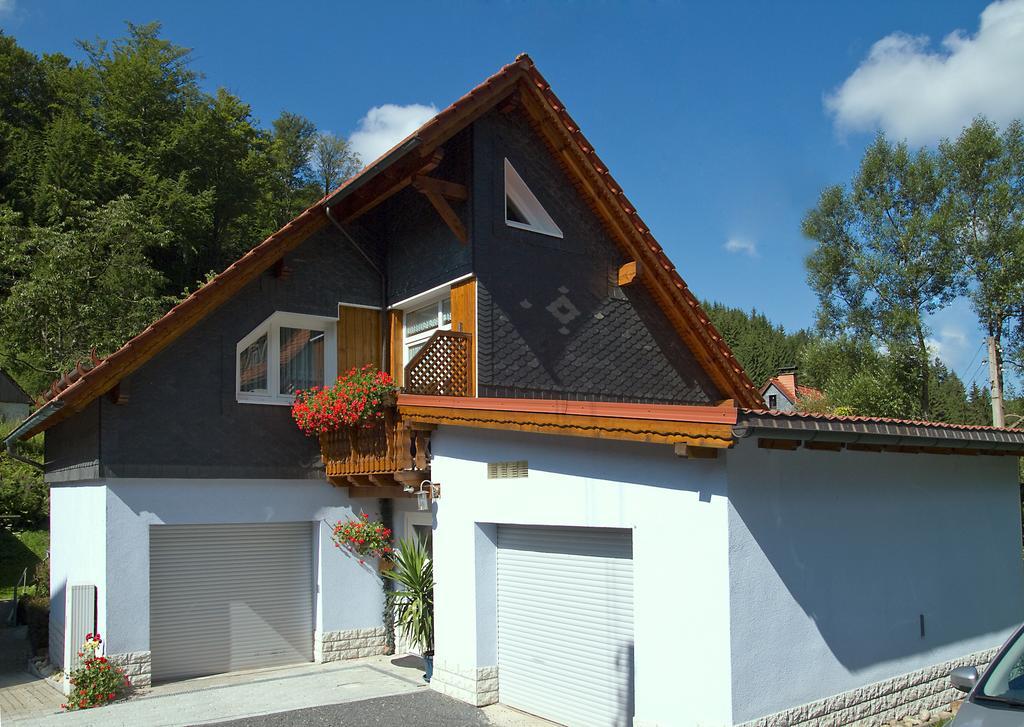 Ferienhaus Barbara Masserberg Ruang foto