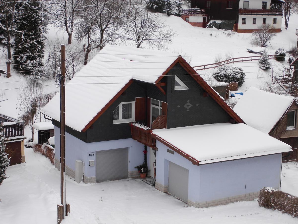 Ferienhaus Barbara Masserberg Bagian luar foto